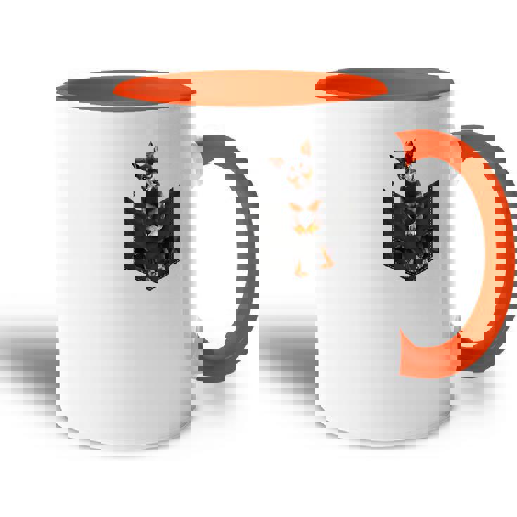Divertido Perro Pinscher Miniatura En Bolsillo Mini Pin Lovers Accent Mug