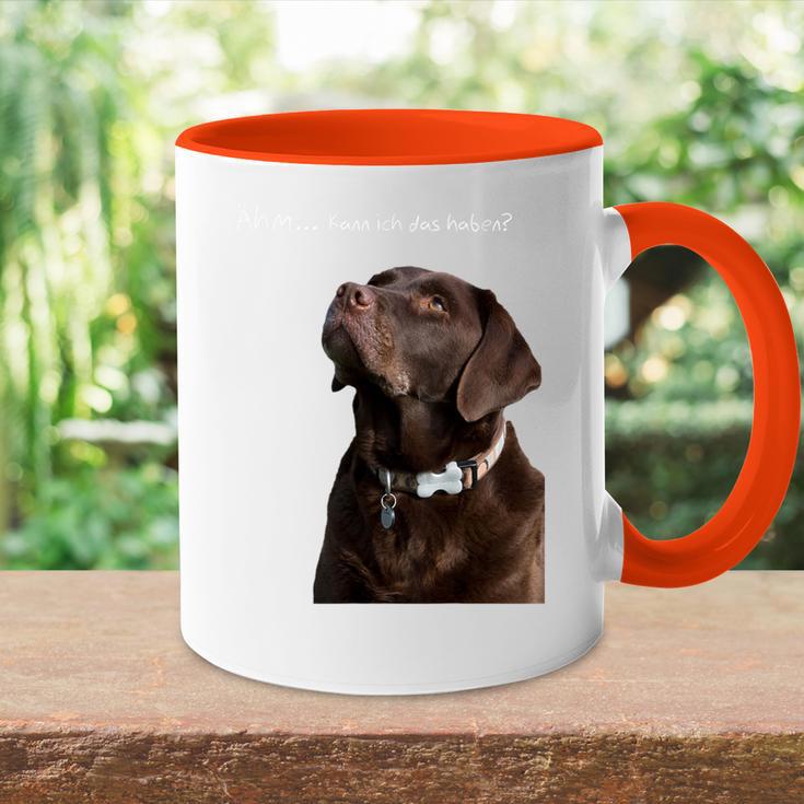 Labrador Retriever Dog Tasse Zweifarbig