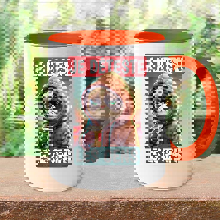 Je Déteste Les Gens Amusant Chat Café Sarcastique Ironic Accent Mug