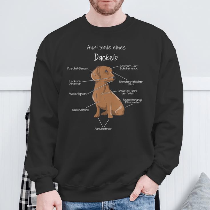 Anatomy Of A Dachshund Badger Dog Sweatshirt Geschenke für alte Männer