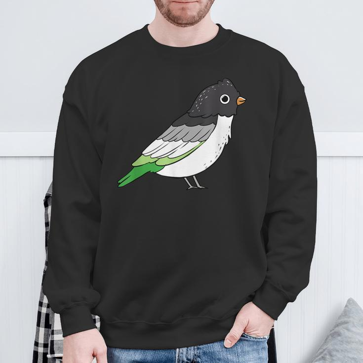 Aromantic Pride Bird Asexual Sweatshirt Gifts for Old Men