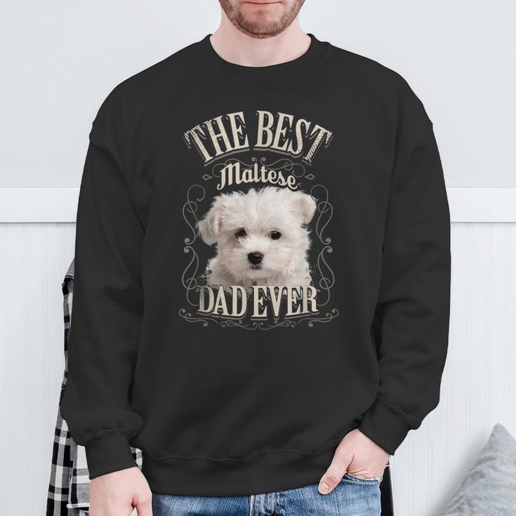 Best Maltese Dad All Maltese Dog intage Sweatshirt Geschenke für alte Männer