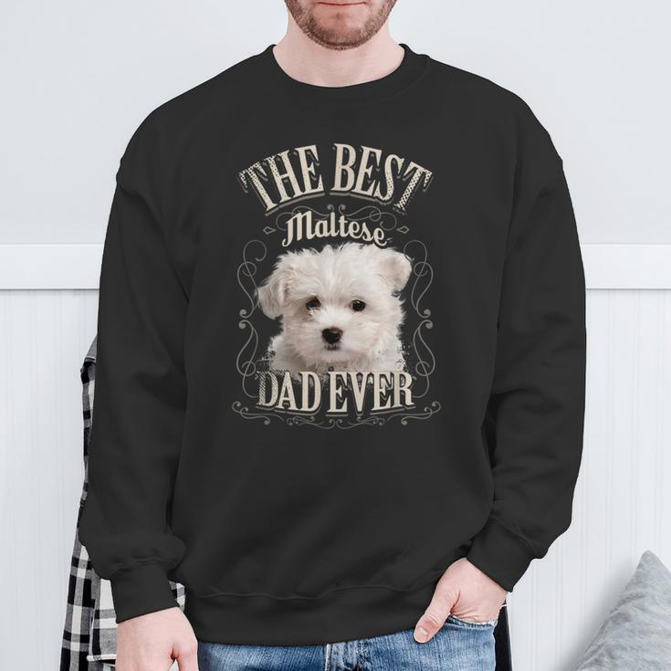 Best Maltese Dad All Maltese Dog Vintage Sweatshirt Gifts for Old Men