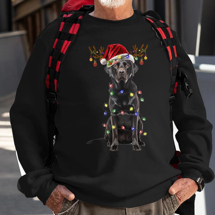 Black Lab Labrador Christmas Tree Reindeer Pajama Dog Xmas Sweatshirt Gifts for Old Men