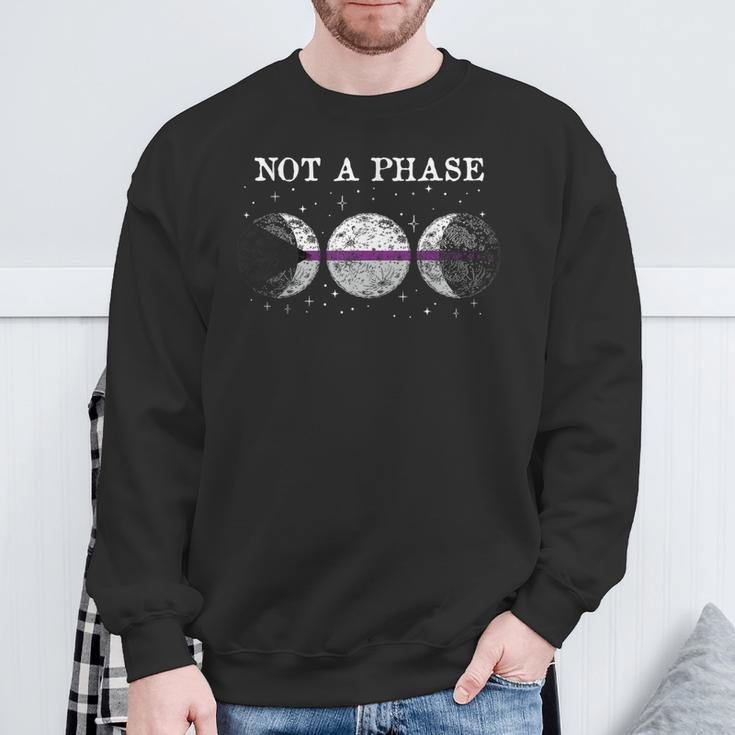 Demisexual Pride Flag Not A Phase Demisexual Sweatshirt Gifts for Old Men