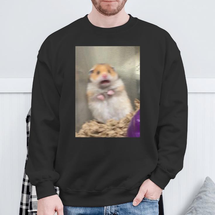 Hamster Schreit I Thank You Meme Sweatshirt Geschenke für alte Männer