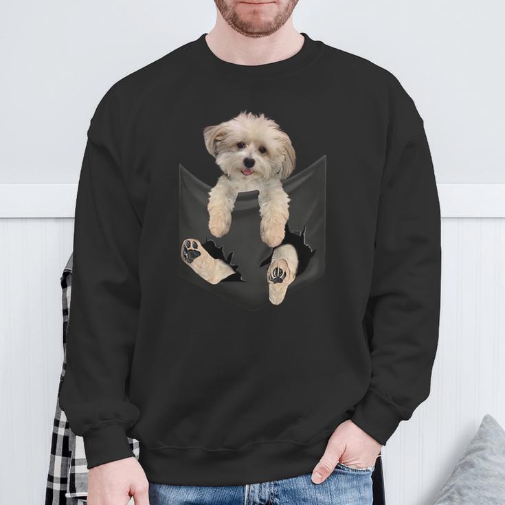 Havanese Dog In Pocket Havanezer Puppy Sweatshirt Geschenke für alte Männer