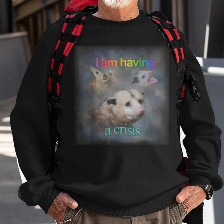I Am Having A Crisis Possum Sweatshirt Gifts for Old Men