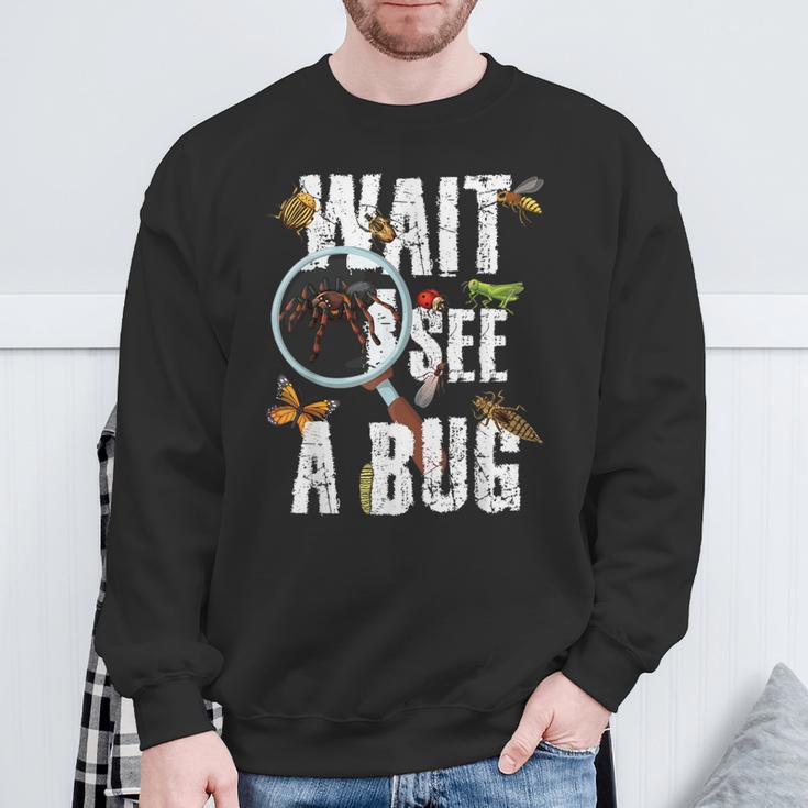 Insects Of The World Bug Lover Expert Entomologist Bugs Fan Sweatshirt Gifts for Old Men