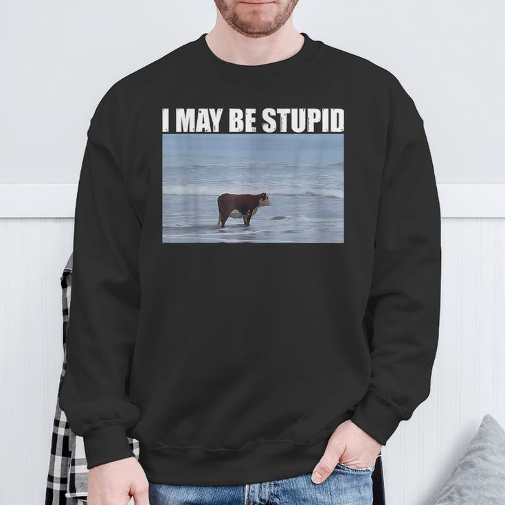 I May Be Stupid Cow Meme I May Be Stupid Sweatshirt Gifts for Old Men