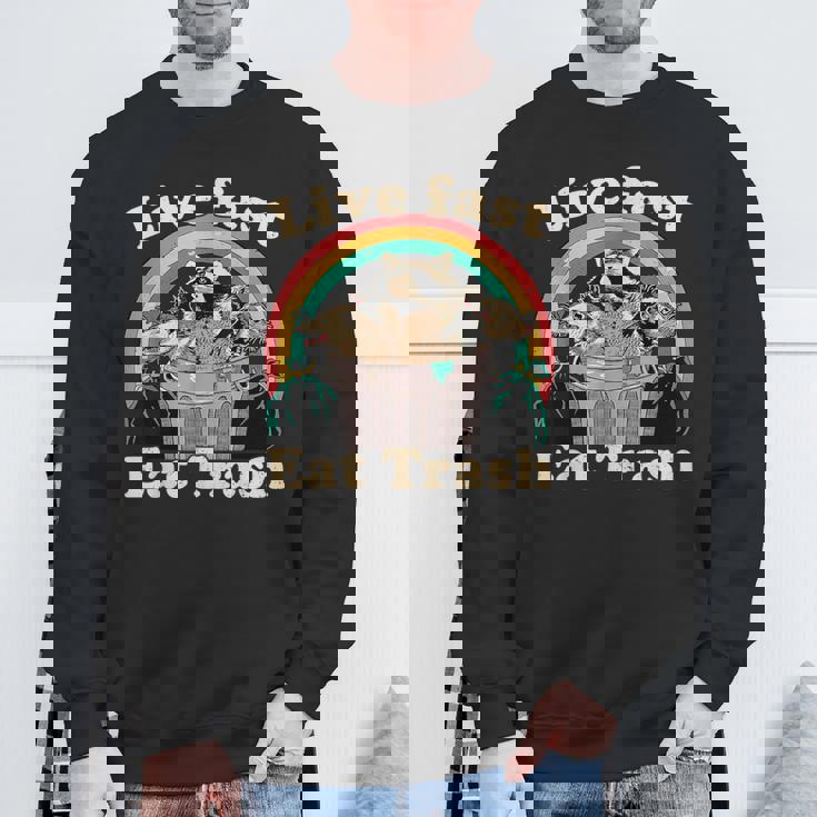 Opossum Raccoon Skunk Live Fast Eat Trash Street Cats Squad Sweatshirt Gifts for Old Men