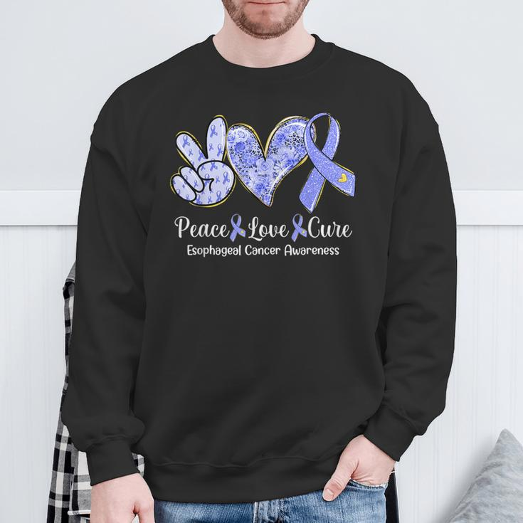 Peace Love Cure Periwinkle Ribbon Esophageal Cancer Sweatshirt Gifts for Old Men