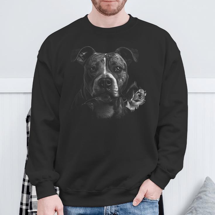 Plain Portrait Of Stafford Terrier And Rose Sweatshirt Geschenke für alte Männer