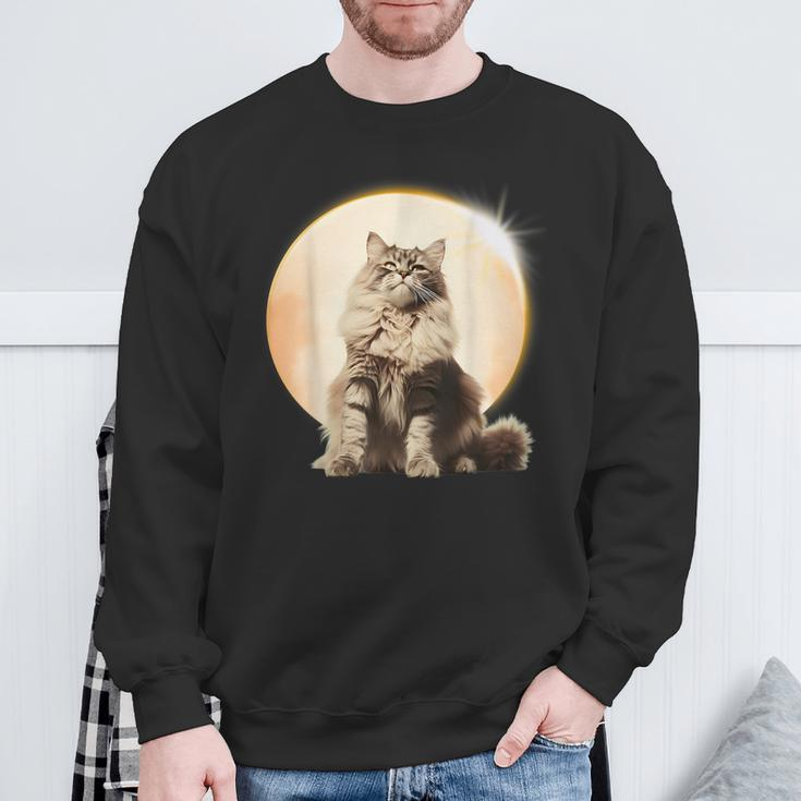 Solar Eclipse 2024 Maine Coon Cat America Totality Sweatshirt Gifts for Old Men