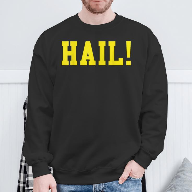 State Of Michigan Hail U M Ann Arbor Mi Aa Sweatshirt Gifts for Old Men