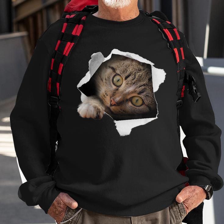 Stunning Tabby Cat Torn Cloth Cat Lovers Kitten Sweatshirt Gifts for Old Men