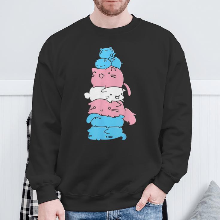 Transgender Cats Transgender Colours Sweatshirt Geschenke für alte Männer