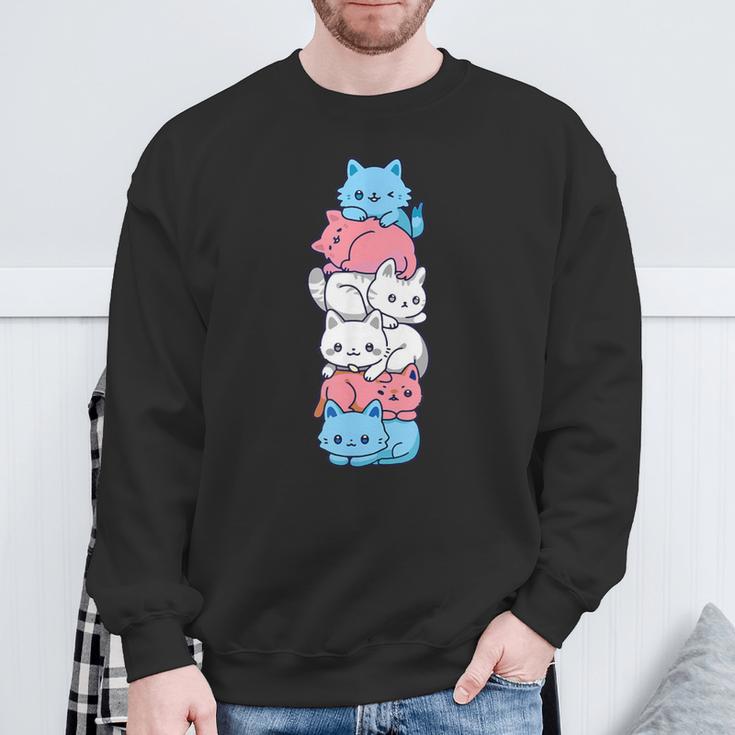 Transgender Pride Cat Lgbt Trans Flag Cute Cats Sweatshirt Geschenke für alte Männer