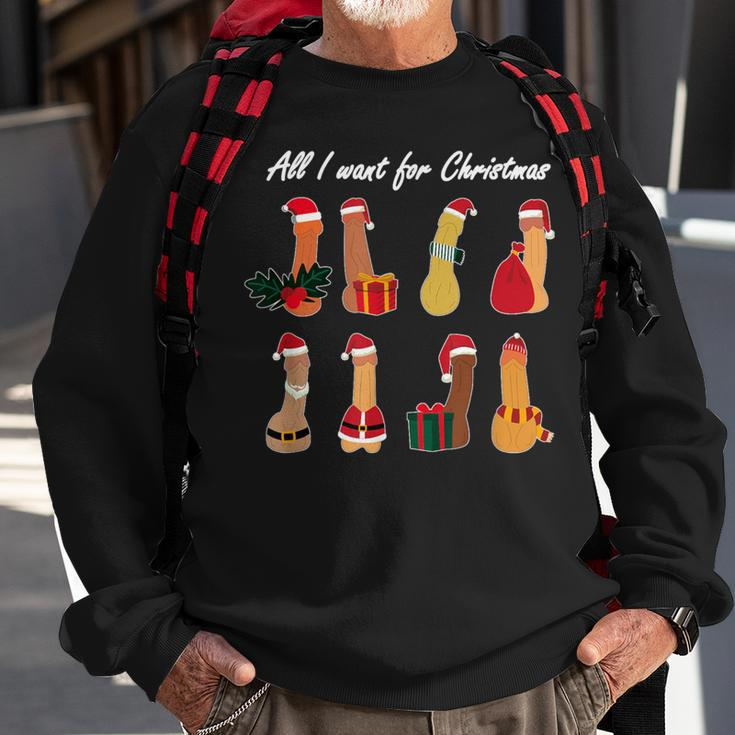 Ugly Christmas Dirty Christmas X-Mas Pride All I Want Sweatshirt Gifts for Old Men