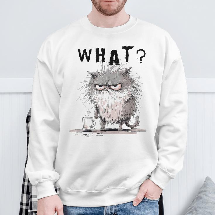 Bad Temper Feline With Coffee Grumpily Catty Grouchy Catt Sweatshirt Gifts for Old Men
