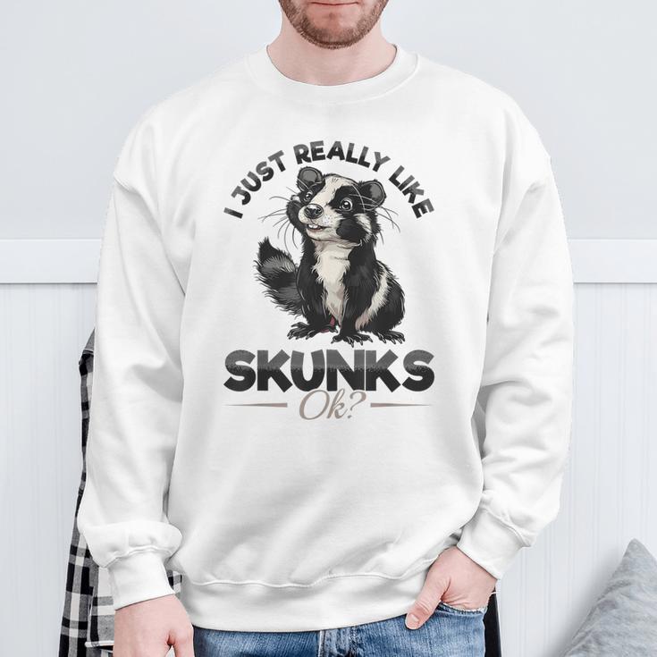 Lustiges Stinktier I Just Really Like Skunks Ok Sweatshirt Geschenke für alte Männer