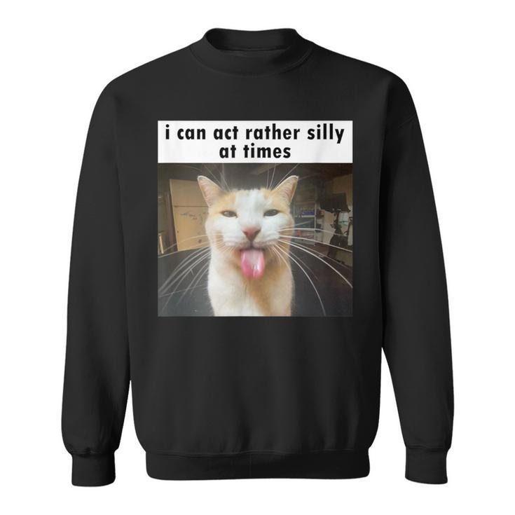 I Can Act Rather Silly At Times Silly Cat Meme Sweatshirt