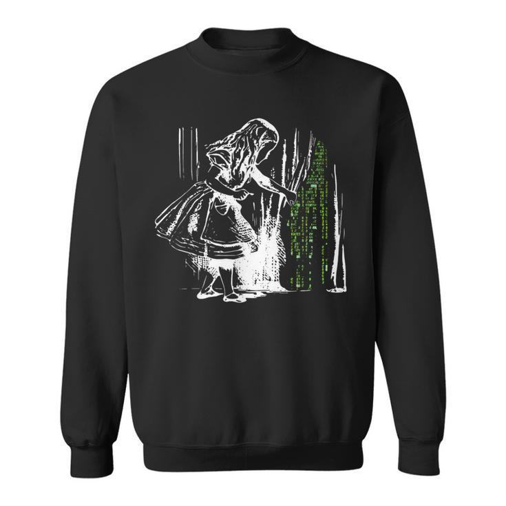 Alice In Matrix Land Programmer Sweatshirt