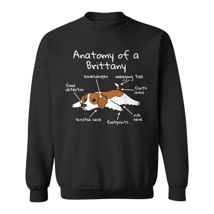 Anatomy Of A Brittany Spaniel Dog Sweatshirt