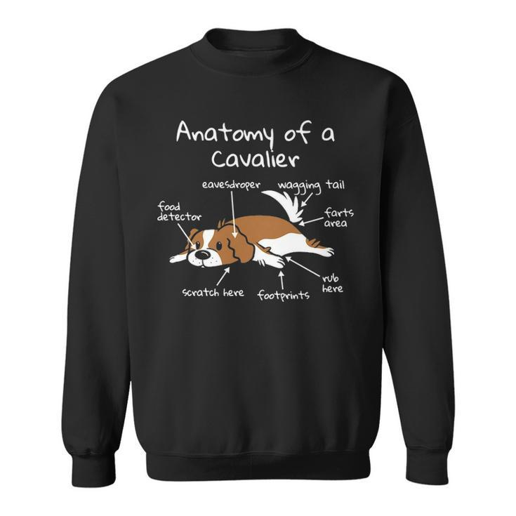 Anatomy Of A Cavalier King Charles Spaniel Dog Gif Sweatshirt