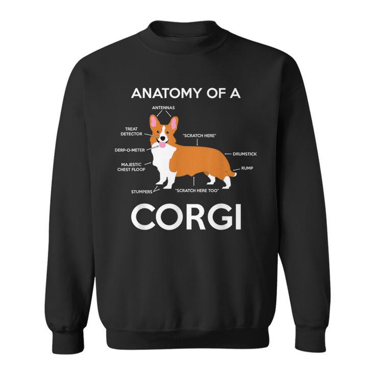 Anatomy Of A Corgi Corgis Dog Puppy Nerd Biology Dogs Sweatshirt