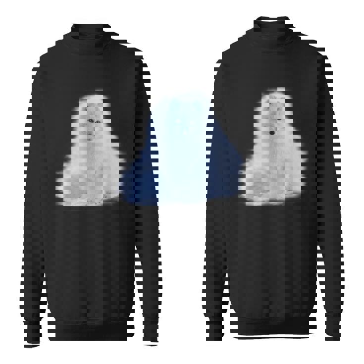 foxey♡ 🌷 Price for new clients Classic $79 Hybrid $99 Volume $119