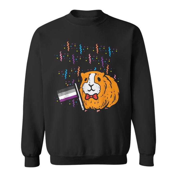 Asexual Flag Hamster Lgbt Pride Month Ace Pride Stuff Animal Sweatshirt