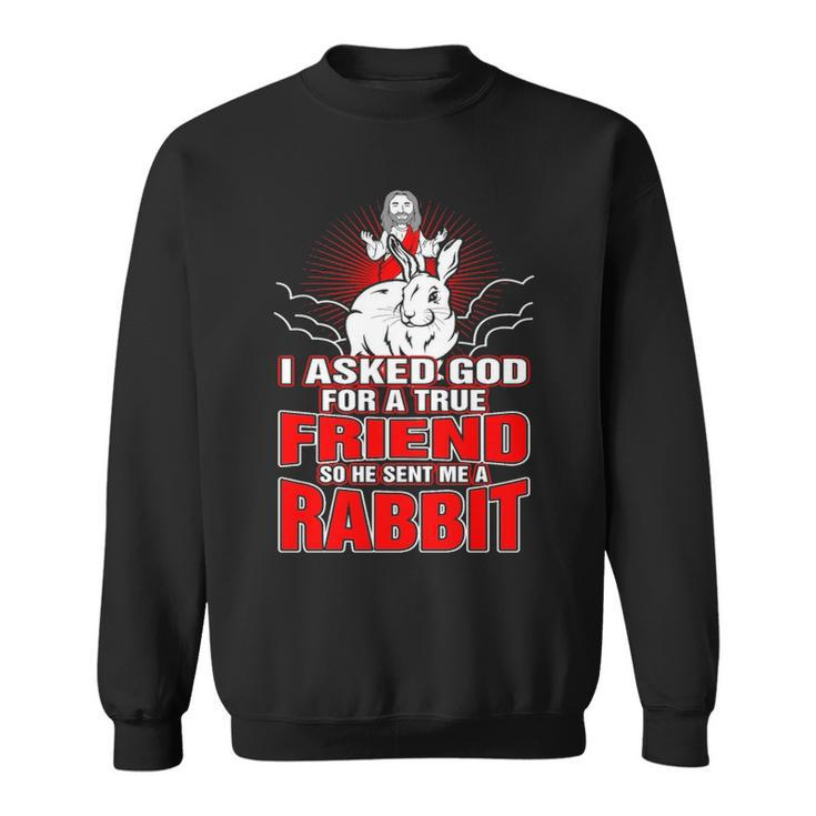 I Asked God For True Friend So He Sent Me A Rabbit Sweatshirt