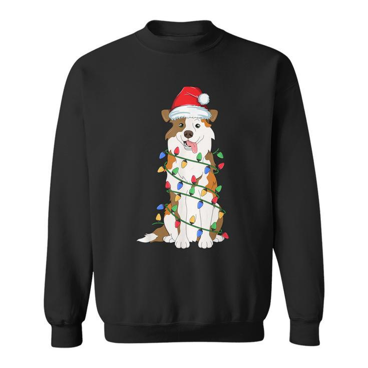 Australian Shepherd Christmas Tree Light Aussie Xmas Dog Sweatshirt