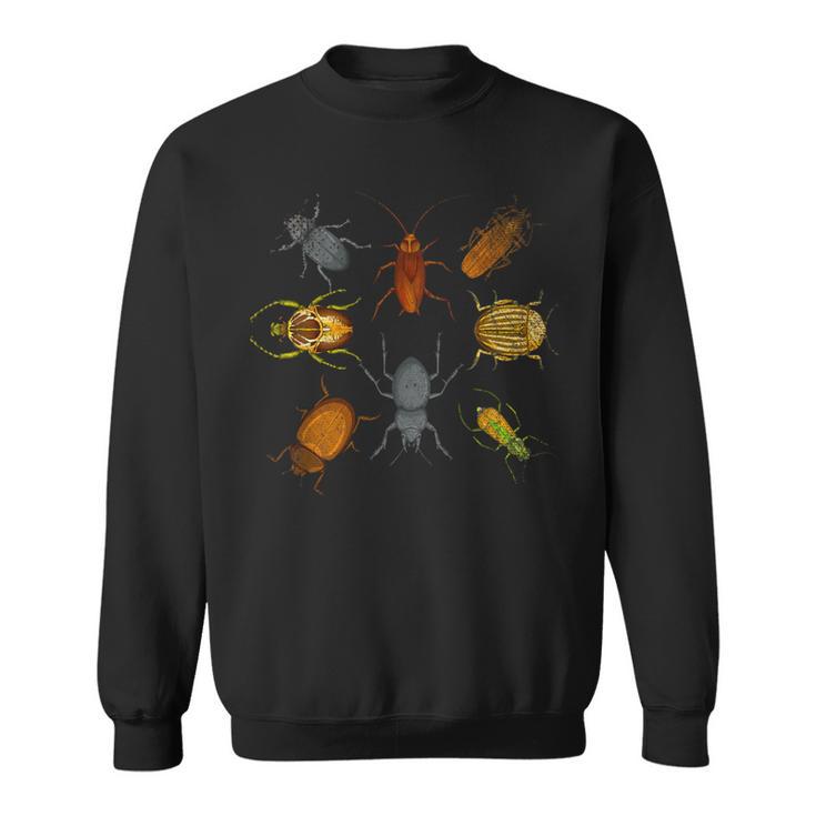 Beetle Bugs Collector Entomologist Biology Insect Bug Sweatshirt