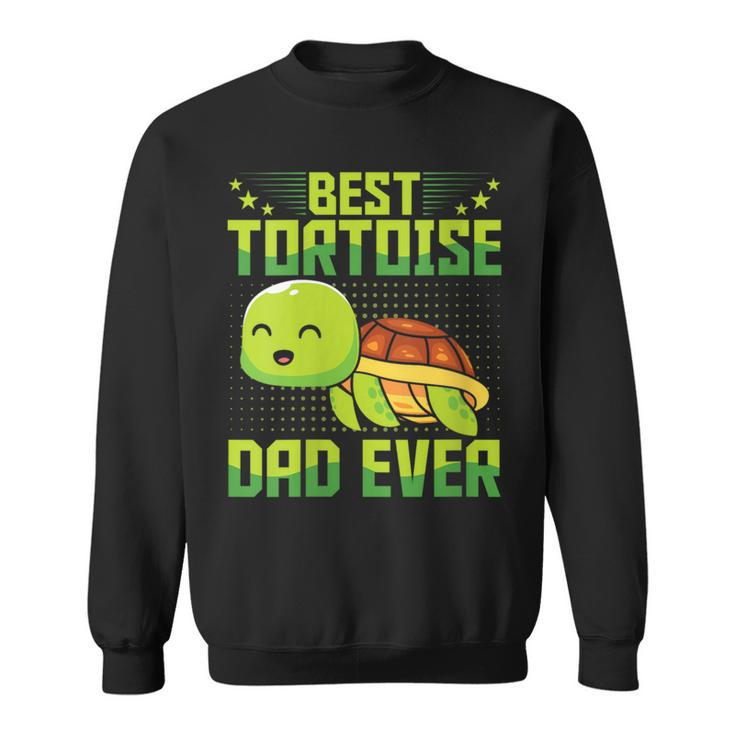 Best Tortoise Dad Ever Vintage Retro Papa Fathers Day Sweatshirt