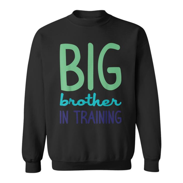 Big Brother In Training For Great Bros Sweatshirt
