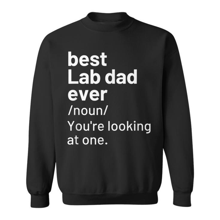 Black Yellow Chocolate Fox Red Lab Dad Labrador Definition Sweatshirt