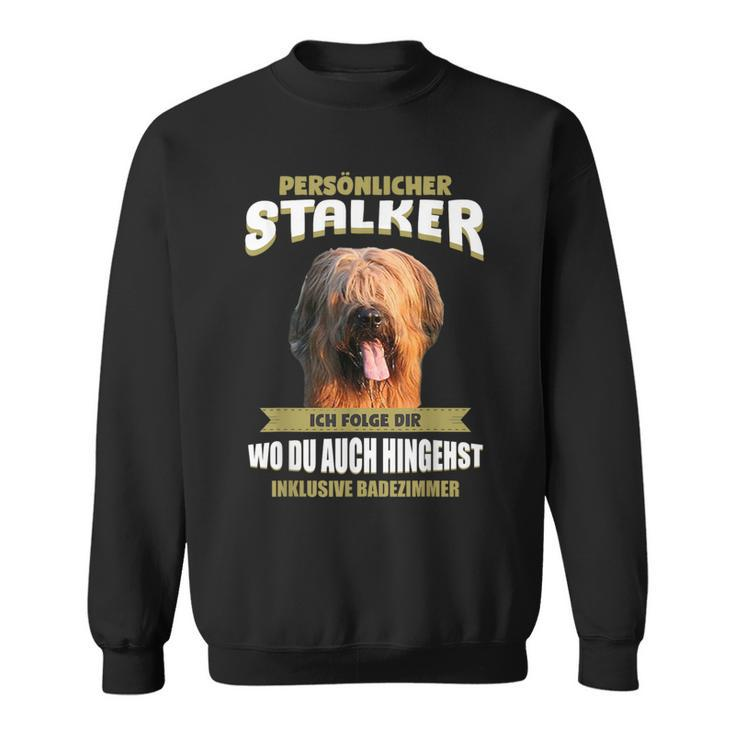 Briard Briard Dog Sweatshirt