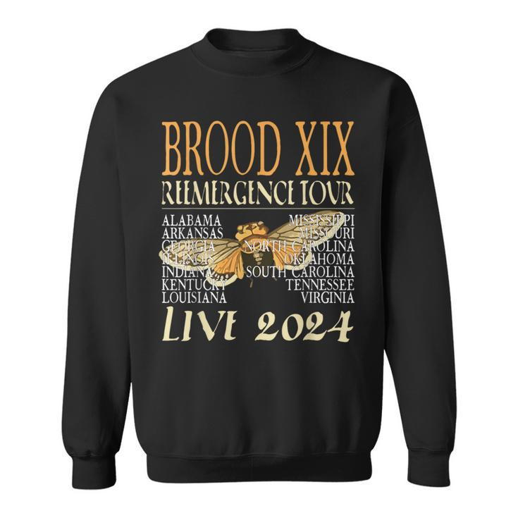 Brood Xix Reemergence Tour 2024 Periodical Cicada Concert Sweatshirt
