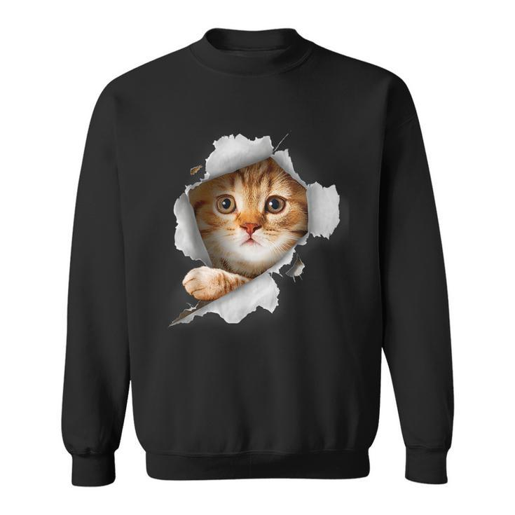 Cat Lover Kitten Lover Cute Cat Cat Owner Cat Sweatshirt