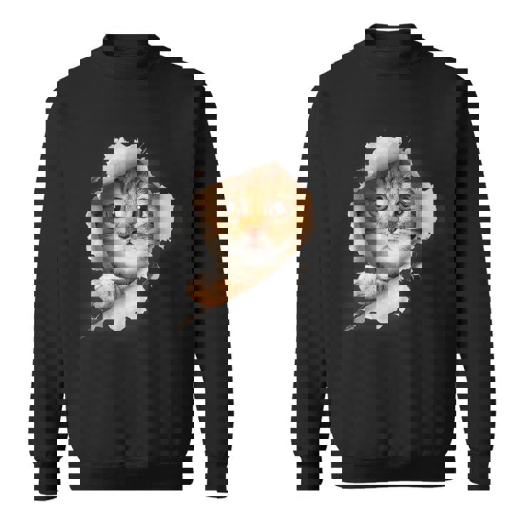 Cat Dad Old Man And Fluffy Cats Personalized Hoodie Sweatshirt