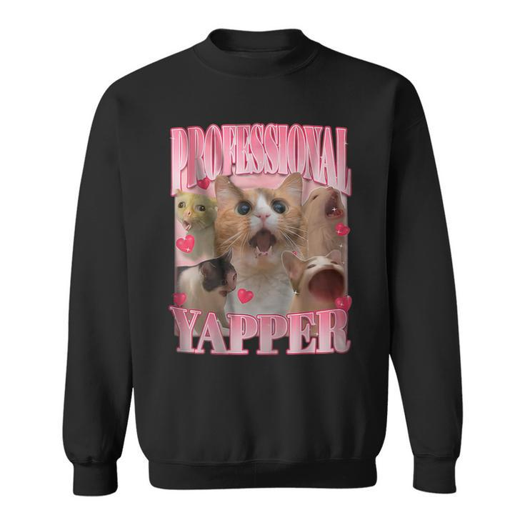 Cat Professional Yapper Oddly Specific Meme Sweatshirt