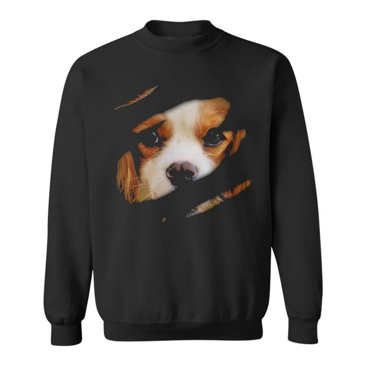 Cavalier King Charles In Me Dogdesign Pedigree Dog Sweatshirt