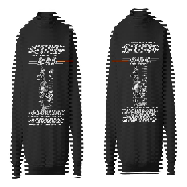 Chien De Berger Belge Malinois