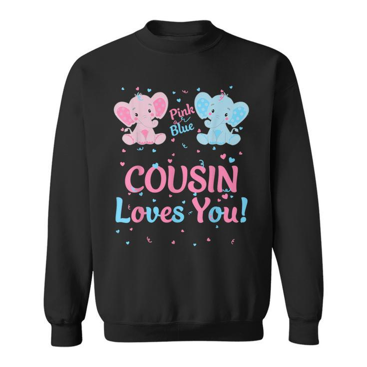 Cousin Gender Reveal Elephant Pink Or Blue Matching Family Sweatshirt