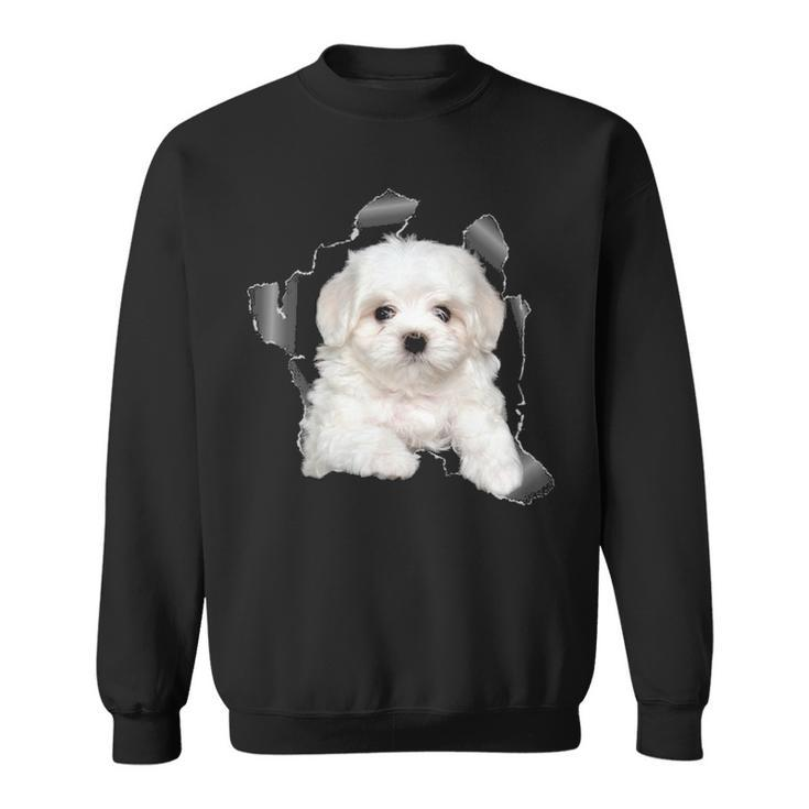 Cute Maltese Torn Cloth  Maltese Lover Dog Owner Puppy Sweatshirt