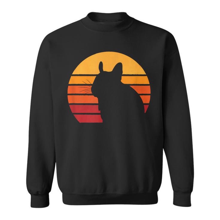 Degu -Intage Retro & Eighties Style Rodent Sweatshirt