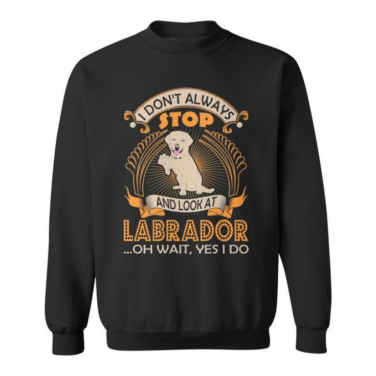 I Dont Always Look At Labrador Dog Wait Yes I Do Sweatshirt