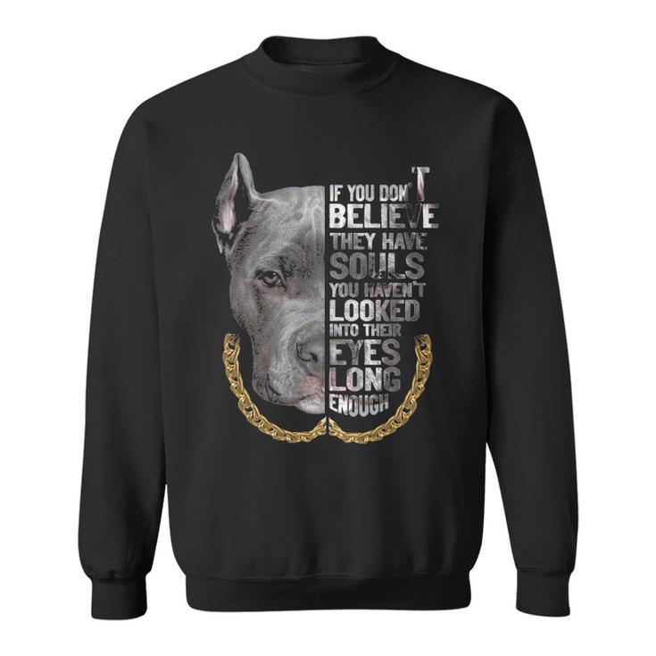 If You Don't Believe They Are Souls I Love Pitbull Dog Lover Sweatshirt
